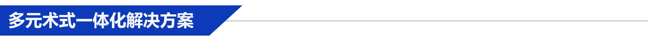 多元術(shù)式一體化解決方案.jpg